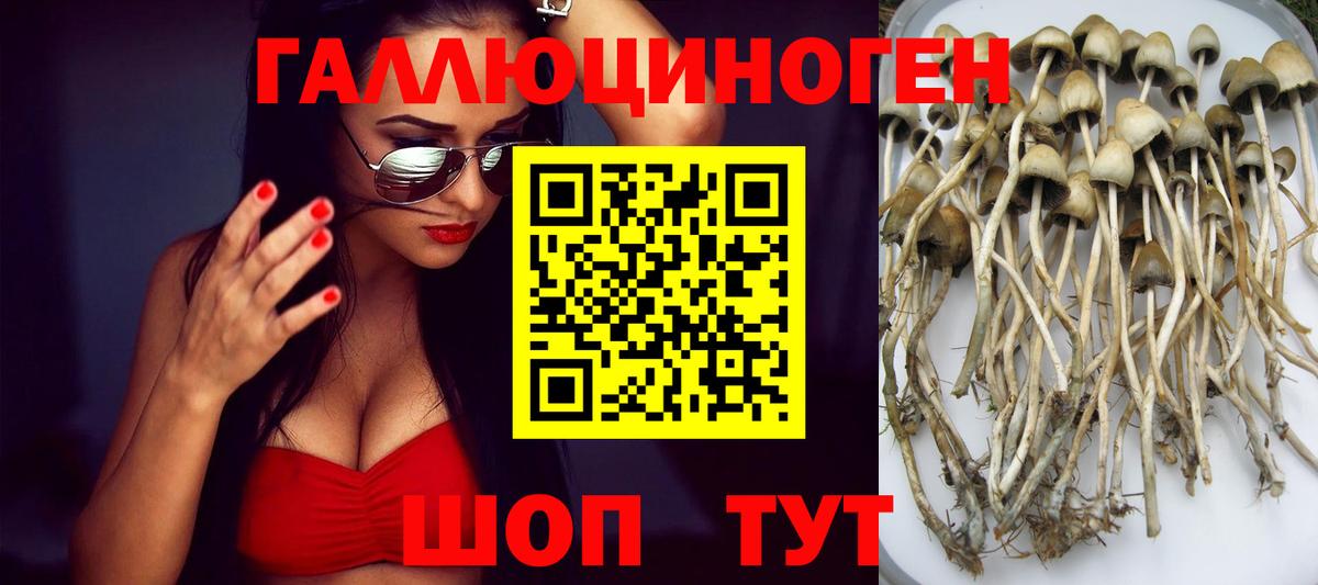 Псилоцибиновые грибы прущие грибы Семилуки