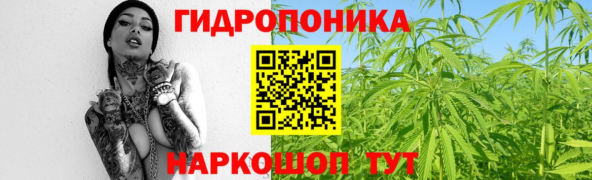Бошки марихуана VHQ Семилуки
